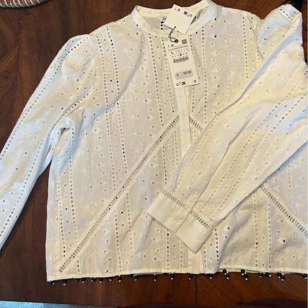 Zara magnolia embroidery blouse